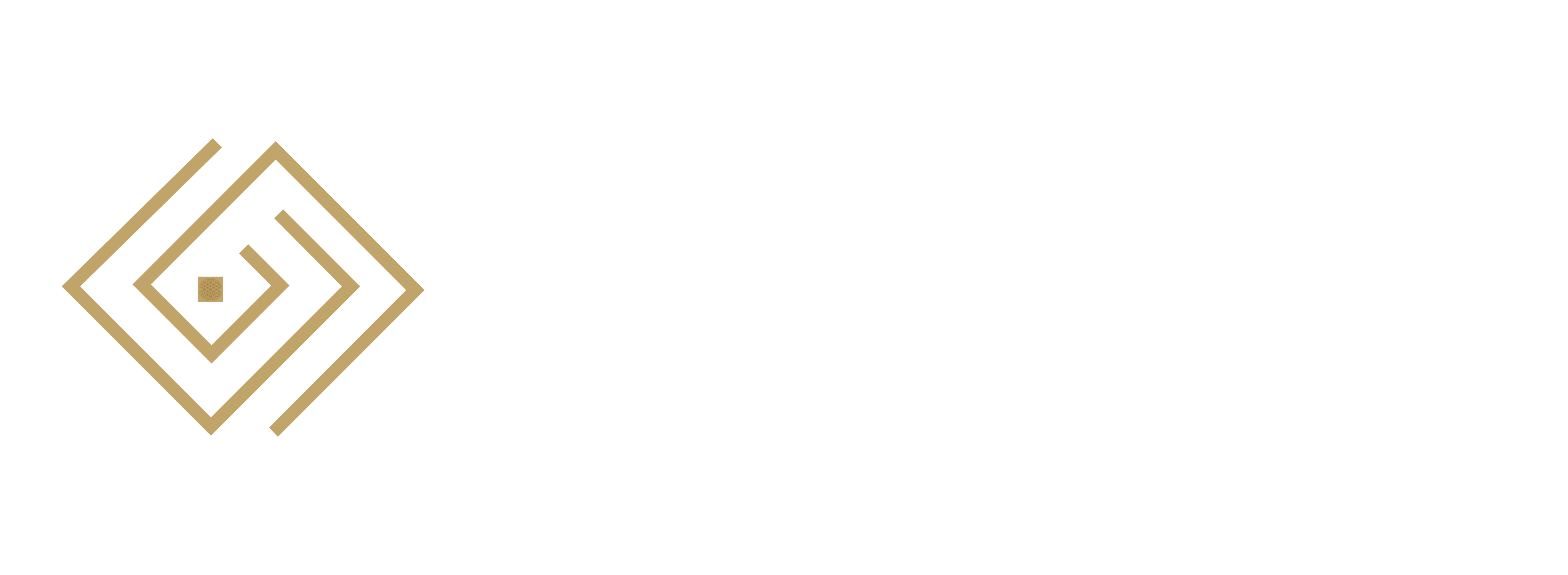 QIP – Queiroz Investimentos e Participações