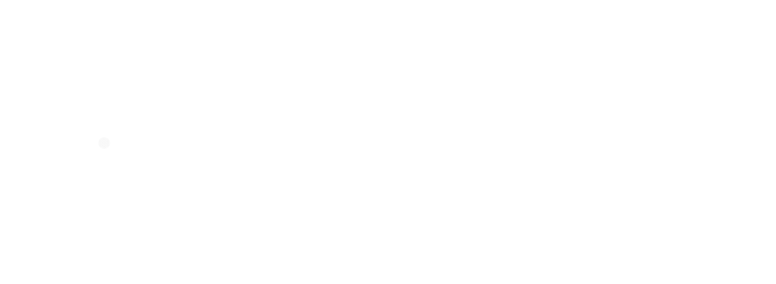 Queiroz Investimentos e Participações